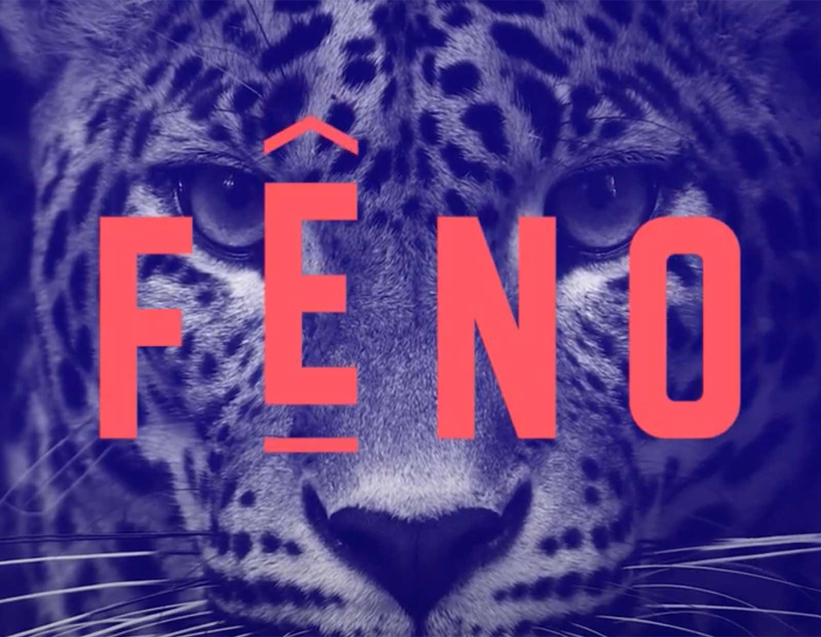 F&ecirc;no 2026